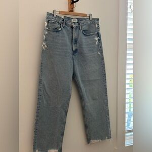 Agolde NWT NERVE 90s Crop Mid Rise Loose Straight Jeans